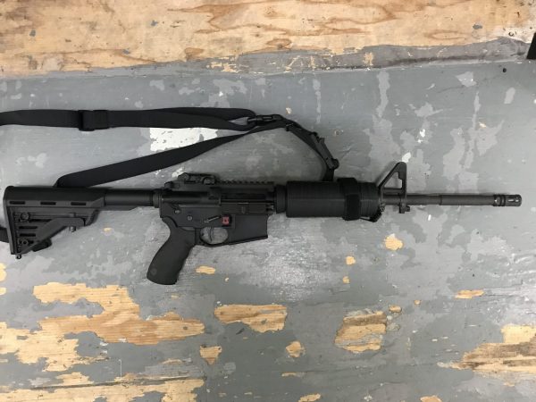 Custom PSA AR-15