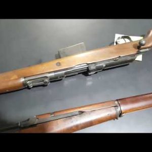 Springfield M1A Standard