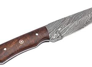 PakCan Damascus Steel Hunting Knife 8.5 inches with Leather Sheath - Hunting Knife - Camping Knife - Survival Knife