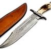 BK-222 Handmade Damascus Steel Hunting Bowie Knife Stag Horn Handle Damascus Guard With Leather Sheath, 15 inches UPGRADED VERSION - Image 2