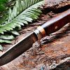 Bobcat Knives Desert Fox Custom Handmade Hunting EDC Knife Damascus Steel with Leather Sheath - Image 3