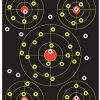 25 Pak - 12x18 Splatter Targets. Shots Burst with Bright Halo Upon Impact. Instantly See Your Shots.