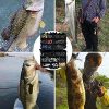 iLure Fishing Accessories Tackle Box Kit with Hooks Weights Jig Heads Swivel Slides Ball Bearing Rolling Snap Barrel for Bass Freshwater and Saltwater - Image 4