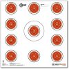 EZ-Aim Paper Shooting Range and Archery Target by Allen (Bullseye, Sight in Grid, Prairie Dog, Turkey, Spot Indoor) Archery - Gun - Rifle - Pistol - Airsoft - BB Gun - Air Rifle - Image 2