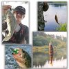 240pcs Fishing Lures, Fishing Bait Set for Bass Trout Salmon with Tackle Box, Fishing Accessories Set Including Tackle Box Fishing Pliers,Crankbait,Spoon Lures,Spinnerbaits,Jigs,Topwater Frog Lures - Image 6